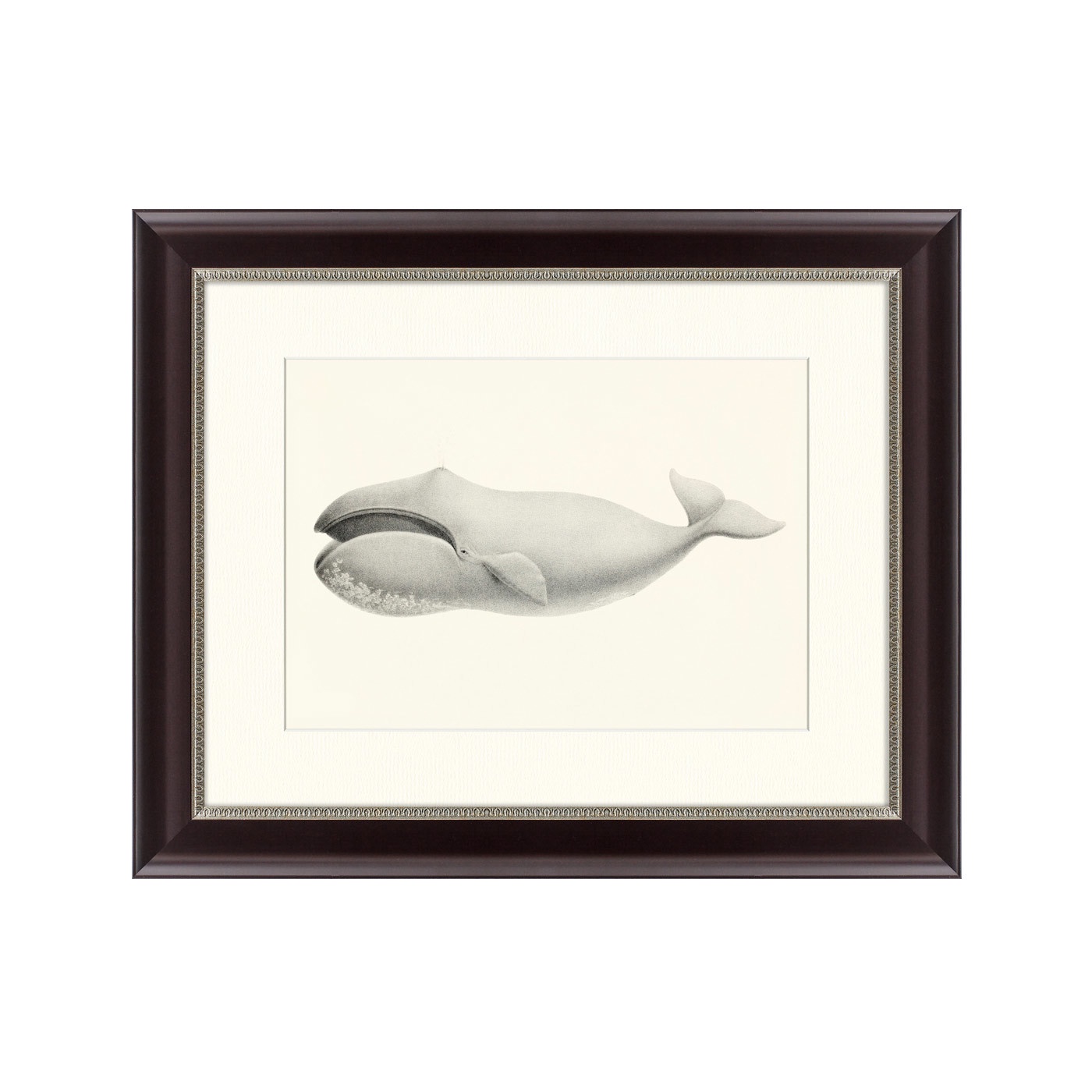 фото Картина Картины В Квартиру Bowhead whale (Balaena mysticetus), 1856, Бумага