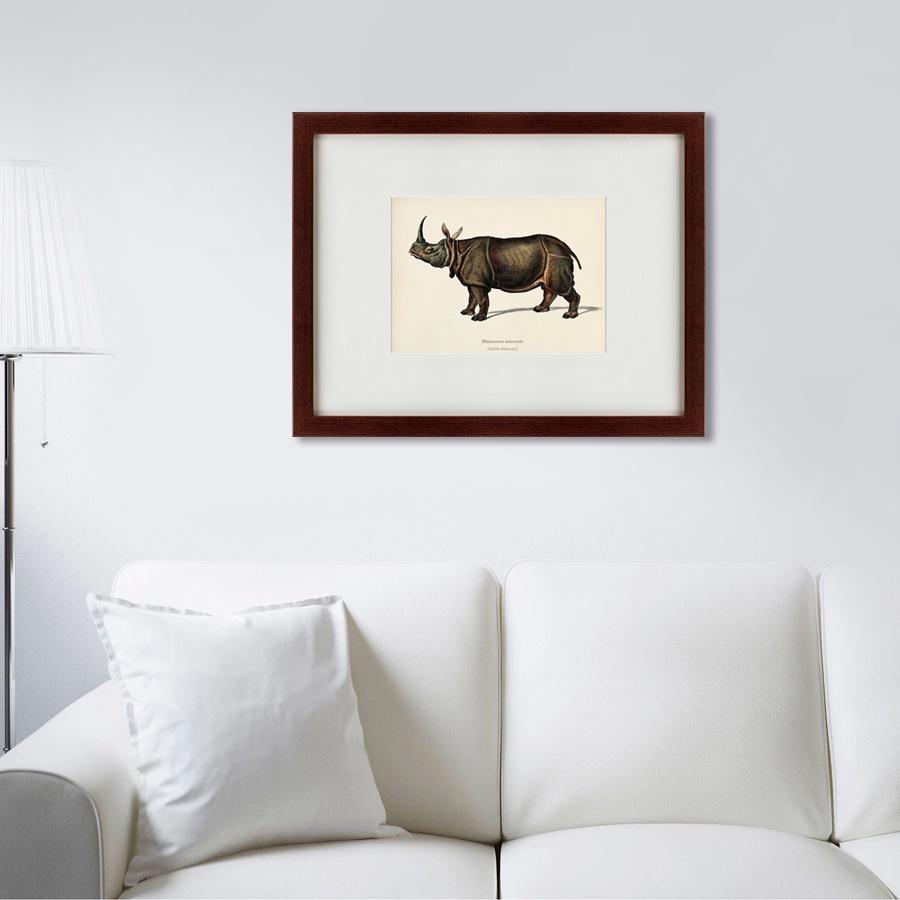 фото Картина Картины В Квартиру Rhinoceros ancienne gravure, 1849, Бумага