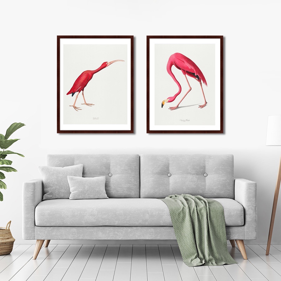 фото Картина Картины В Квартиру Scarlet Ibis, 1827г., Бумага