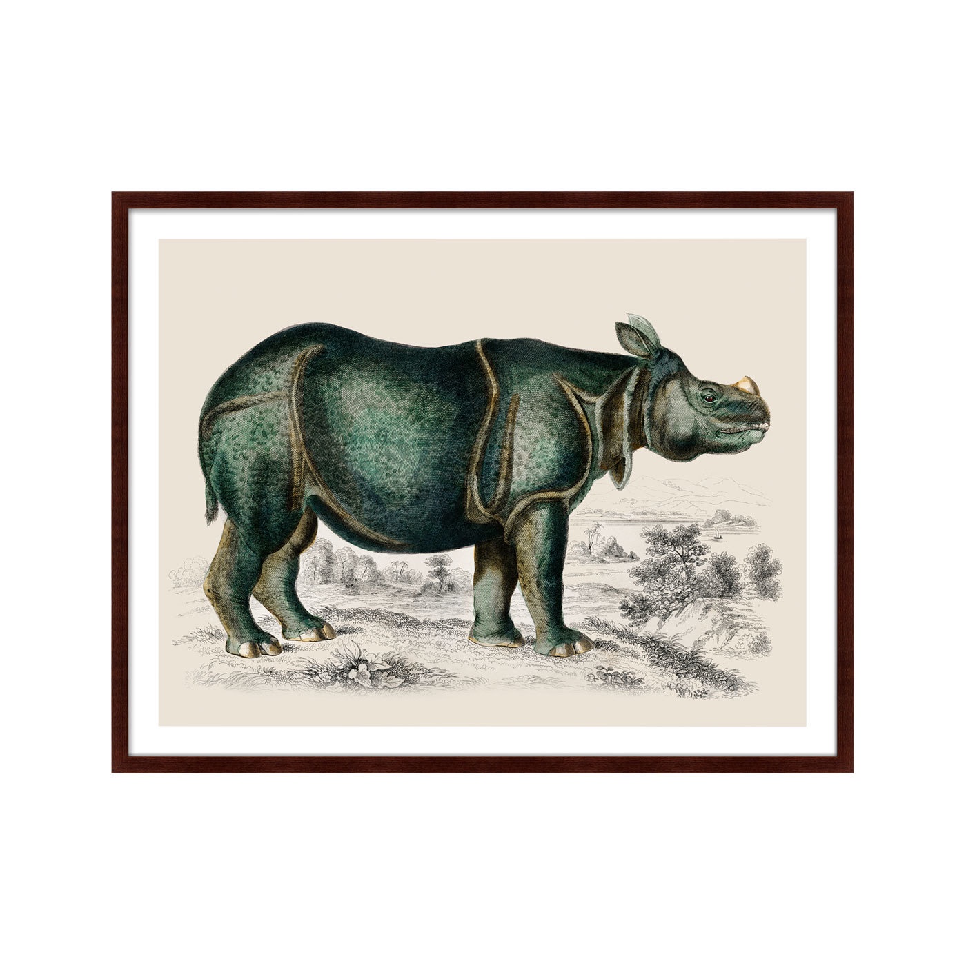 фото Картина Картины В Квартиру Rhinoceros, 1774г., Бумага