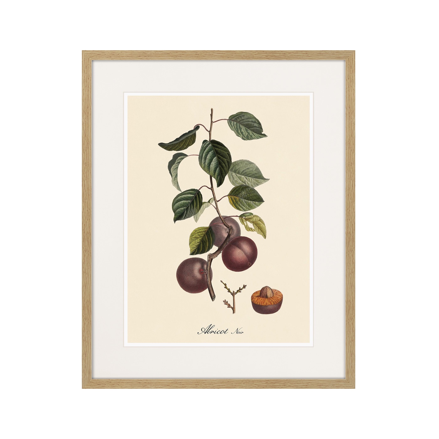 фото Картина Картины В Квартиру Juicy fruit lithography №6, 1870г., Бумага