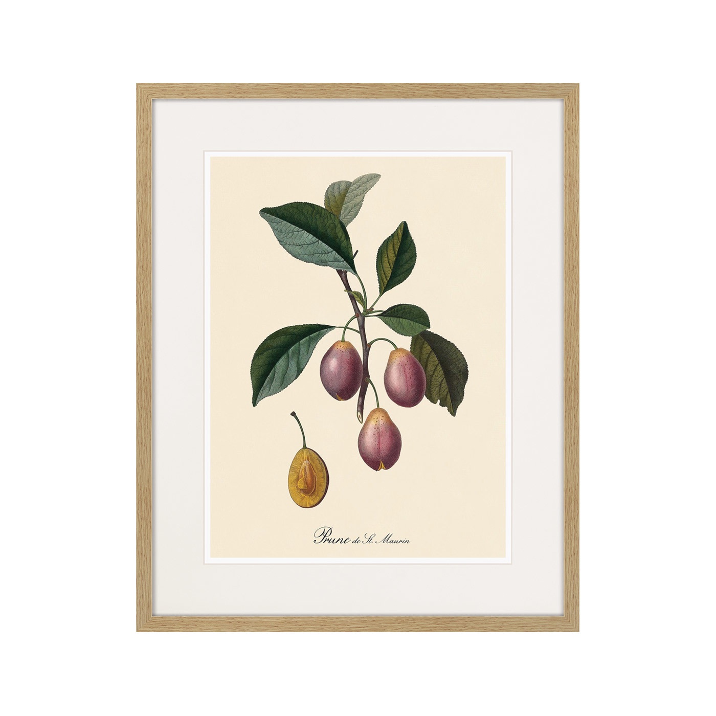 фото Картина Картины В Квартиру Juicy fruit lithography №9, 1870г., Бумага