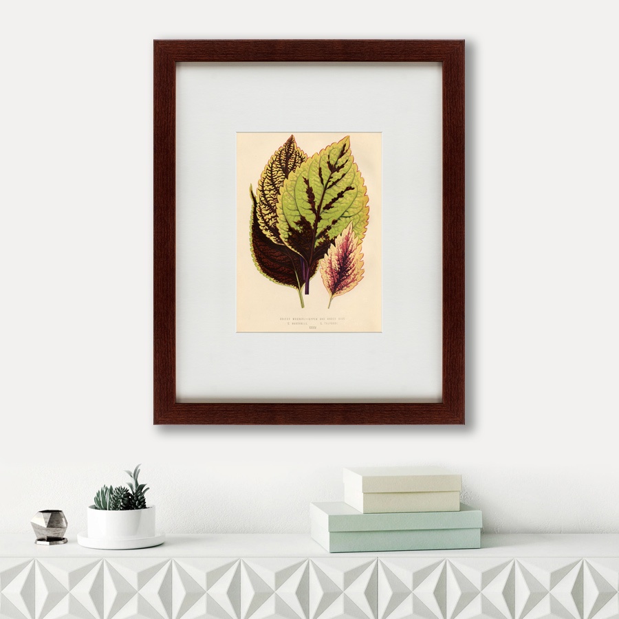 фото Картина Картины В Квартиру Коллекция Botanical Leaf Dracaena (из 2-х картин), Бумага