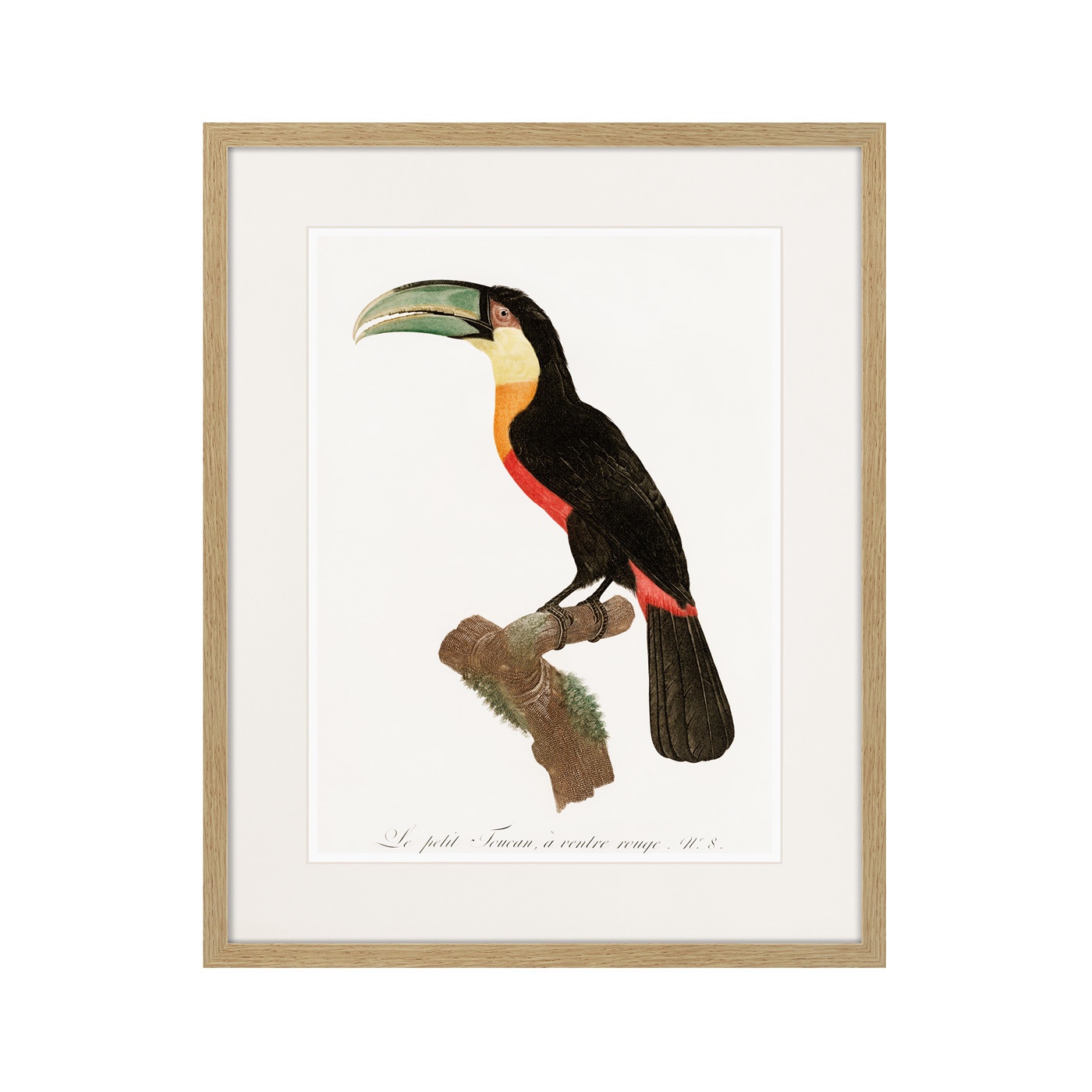 фото Картина Картины В Квартиру Коллекция Beautiful toucans (из 4-х картин), Бумага