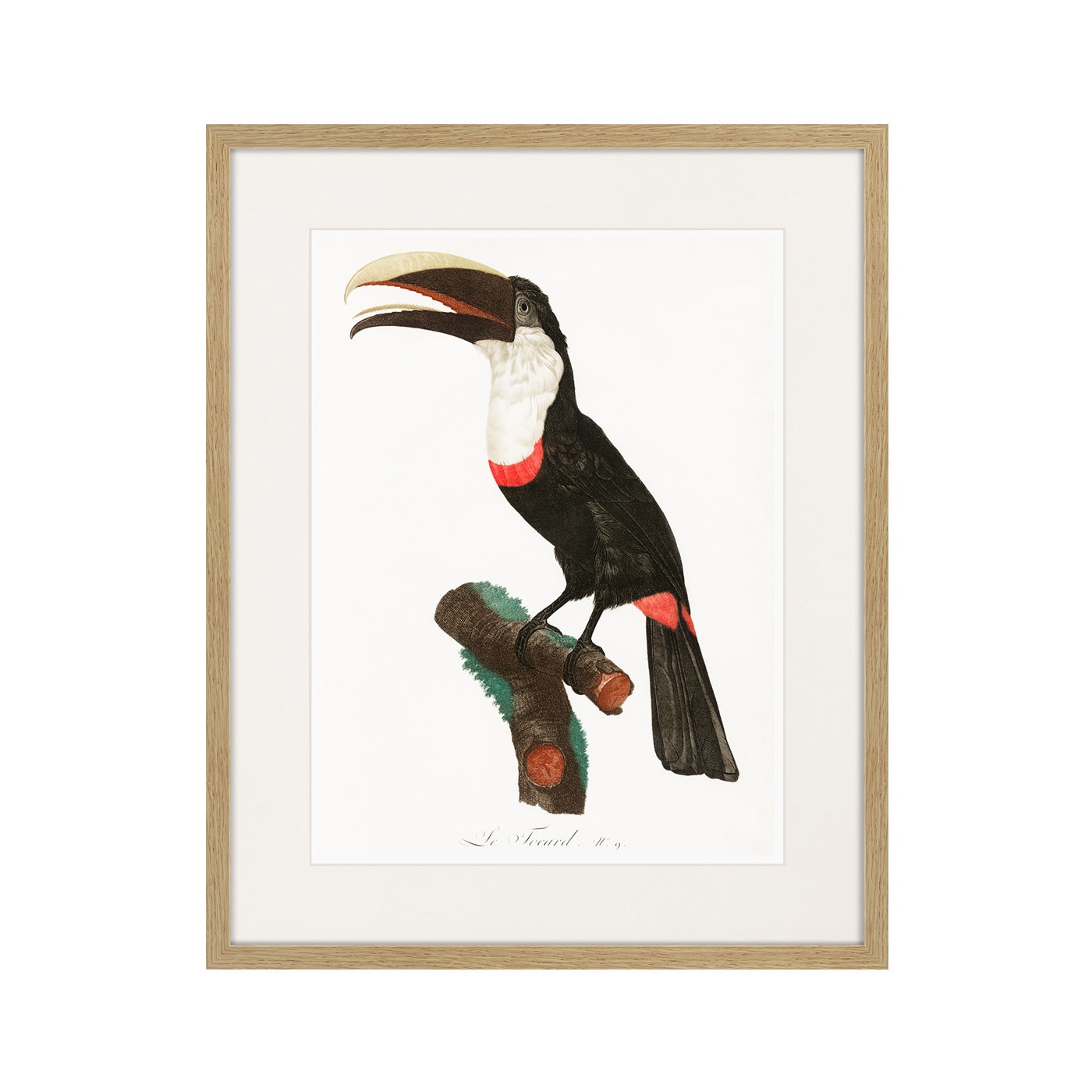 фото Картина Картины В Квартиру Коллекция Beautiful toucans (из 4-х картин), Бумага