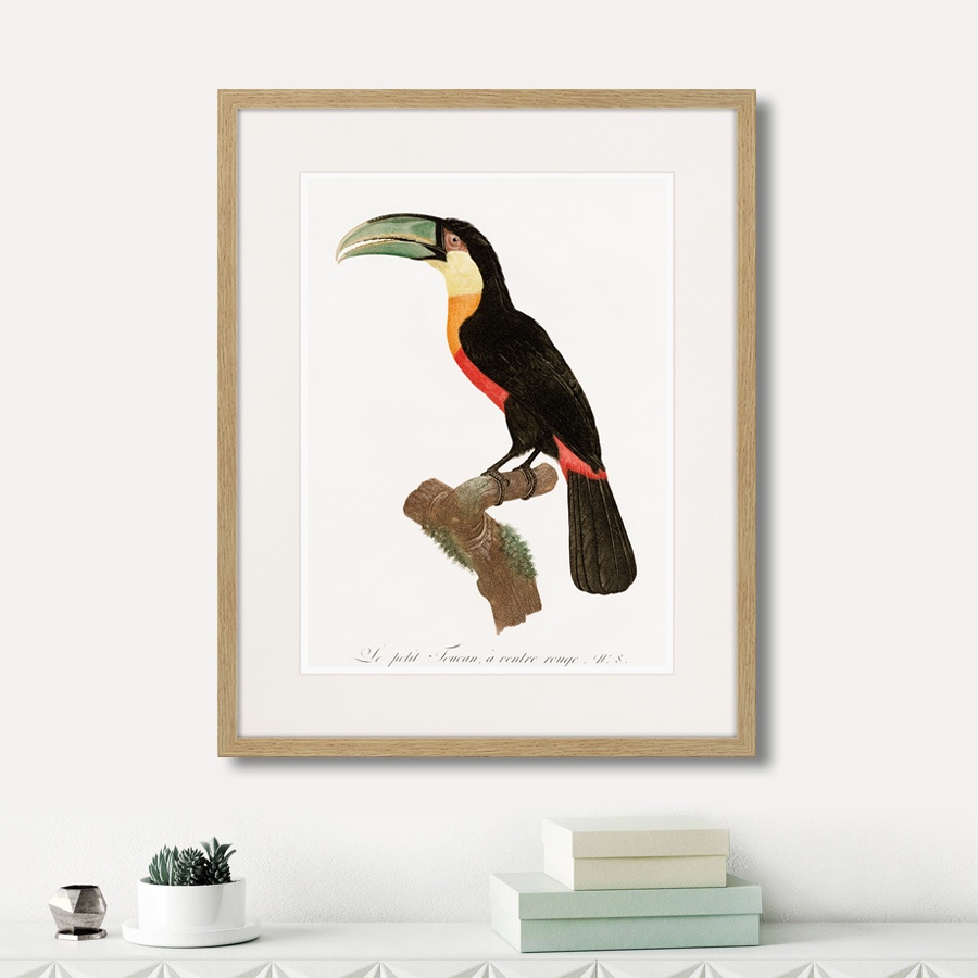 фото Картина Картины В Квартиру Коллекция Beautiful toucans (из 4-х картин), Бумага