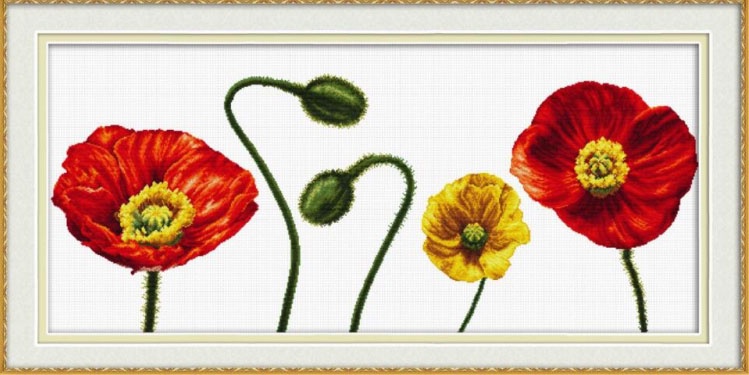 Сѓрμрєсѓ рџ ћ р рјрμсђрерєр. Набор для вышивания Poppy head. K-81 Vintage Poppies.