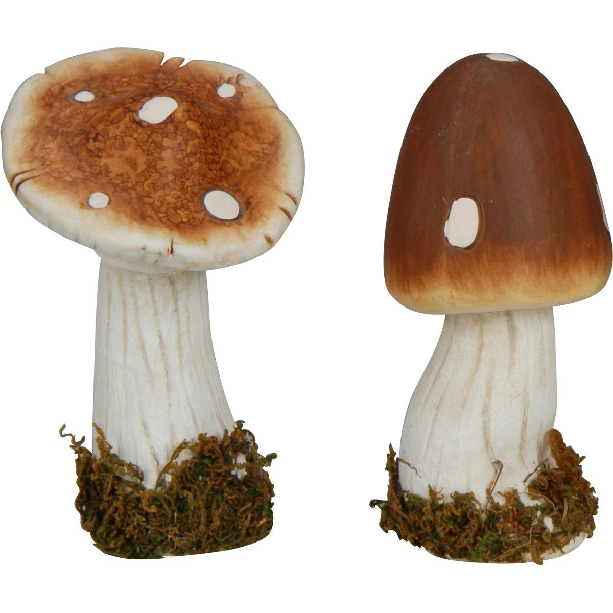 Mushroompus
