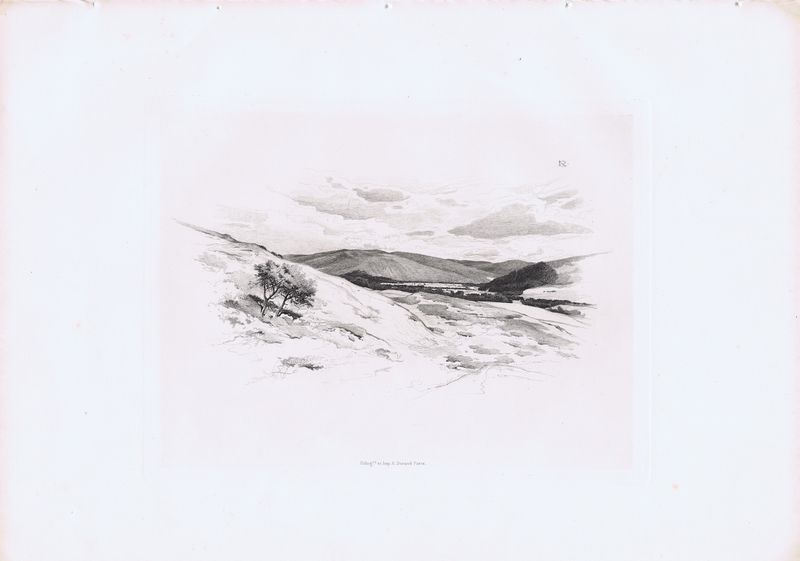 фото Гравюра Шарль Аман-Дюран Шотландия. Река Твид. Куст. Гелиогравюра. Шотландия, Эдинбург, 1884 год