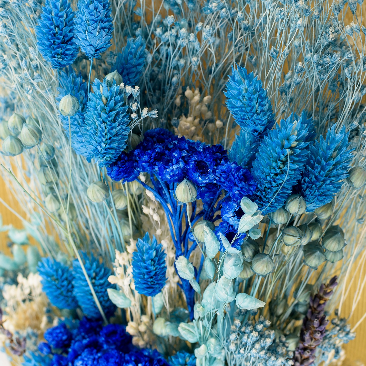 фото Букет из сухих цветов Вертикаль синий