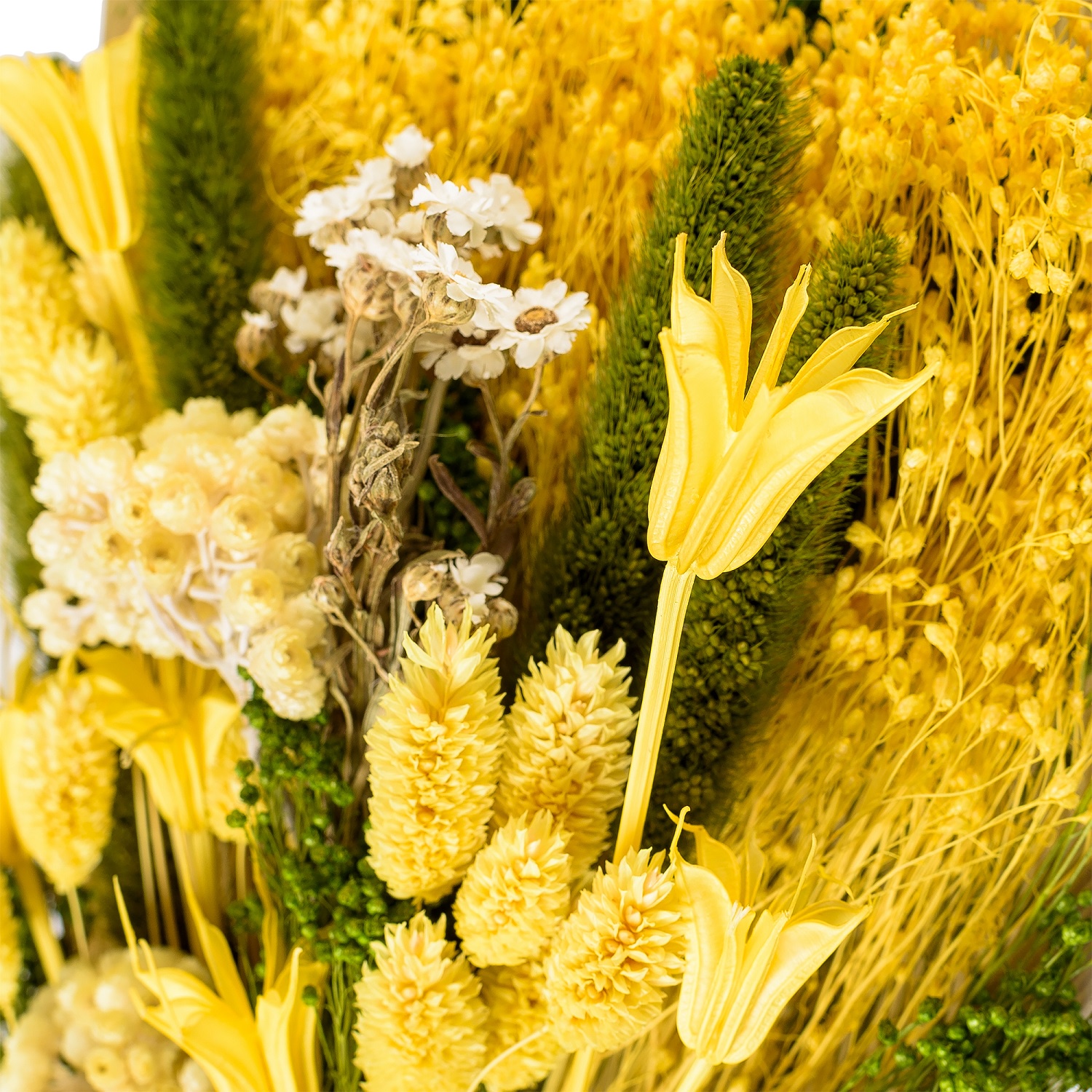 фото Букет из сухих цветов Вертикаль жёлтый