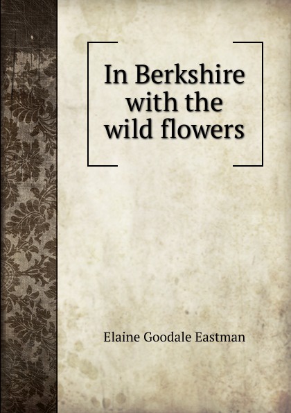 In Berkshire with the wild flowers