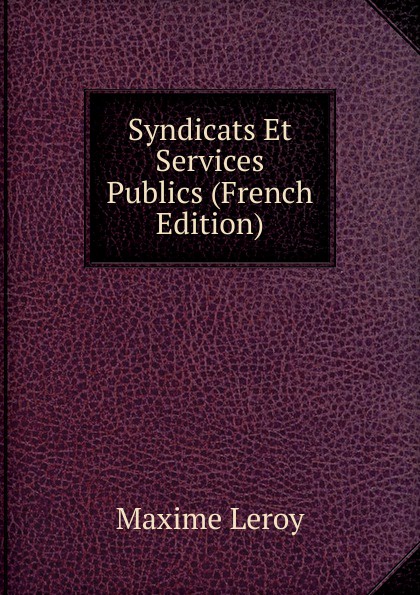 Syndicats Et Services Publics (French Edition)