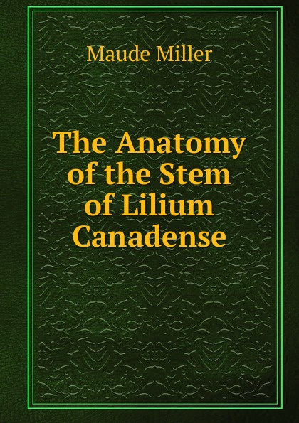 The Anatomy of the Stem of Lilium Canadense