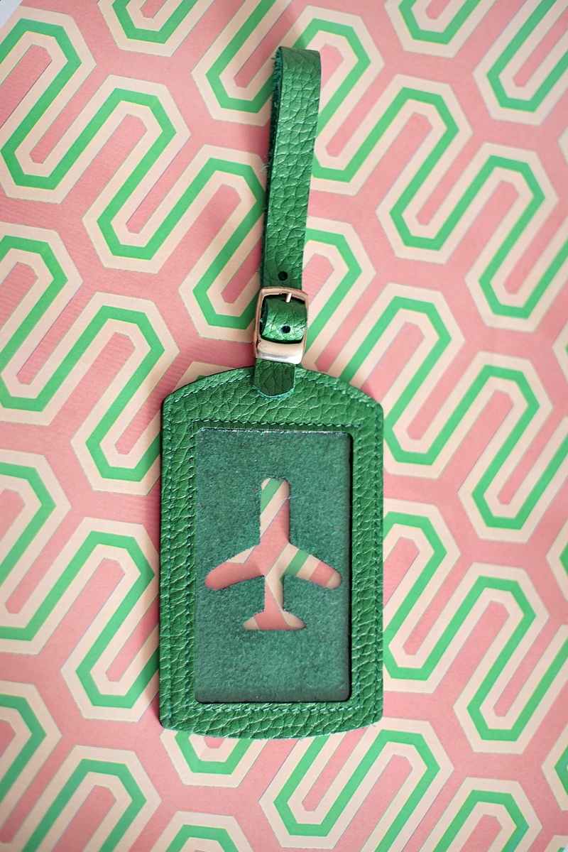 фото Бирка на чемодан GewGaw Бирка багажная "Самолет", зеленый