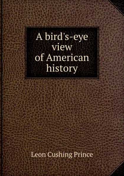 A bird.s-eye view of American history