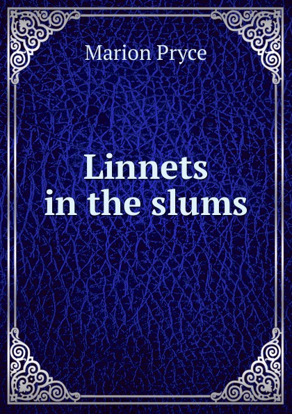 Linnets in the slums