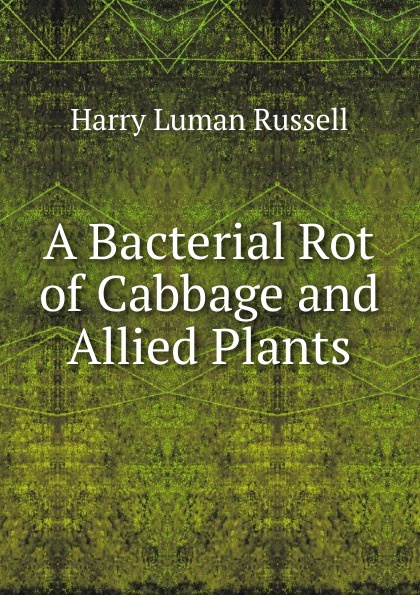 A Bacterial Rot of Cabbage and Allied Plants