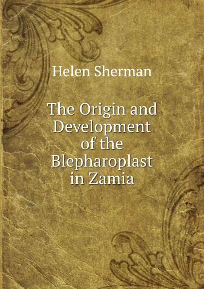 The Origin and Development of the Blepharoplast in Zamia