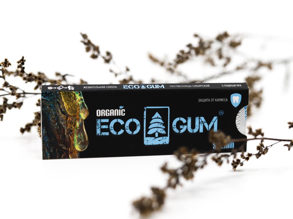 фото ECO GUM Эко-жвачка STEAM 5гр