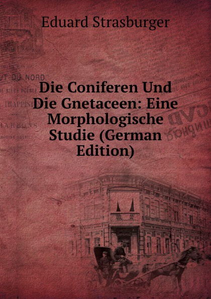 Die Coniferen Und Die Gnetaceen: Eine Morphologische Studie (German Edition)