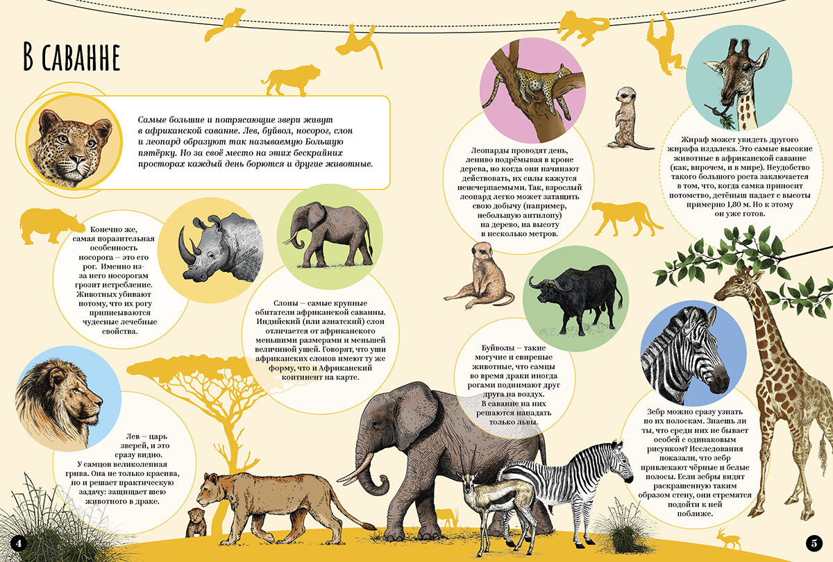 Млекопитающие и другие классы. Млекопитающие. Млекопитающие это. Необычные факты о млекопитающих. Млекопитающие животные с описанием.