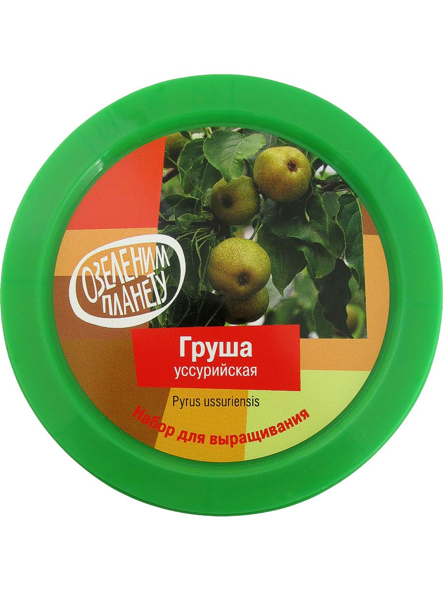 Семена Груши Уссурийской Купить