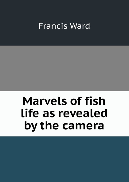 Marvels of fish life as revealed by the camera