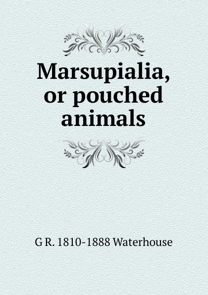 Marsupialia, or pouched animals