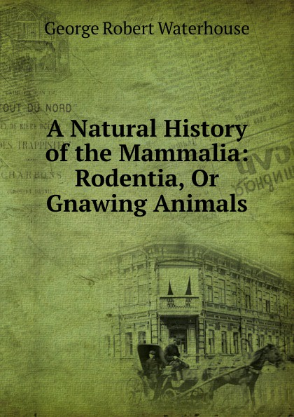 A Natural History of the Mammalia: Rodentia, Or Gnawing Animals