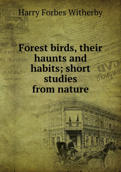 Forest birds, their haunts and habits; short studies from nature