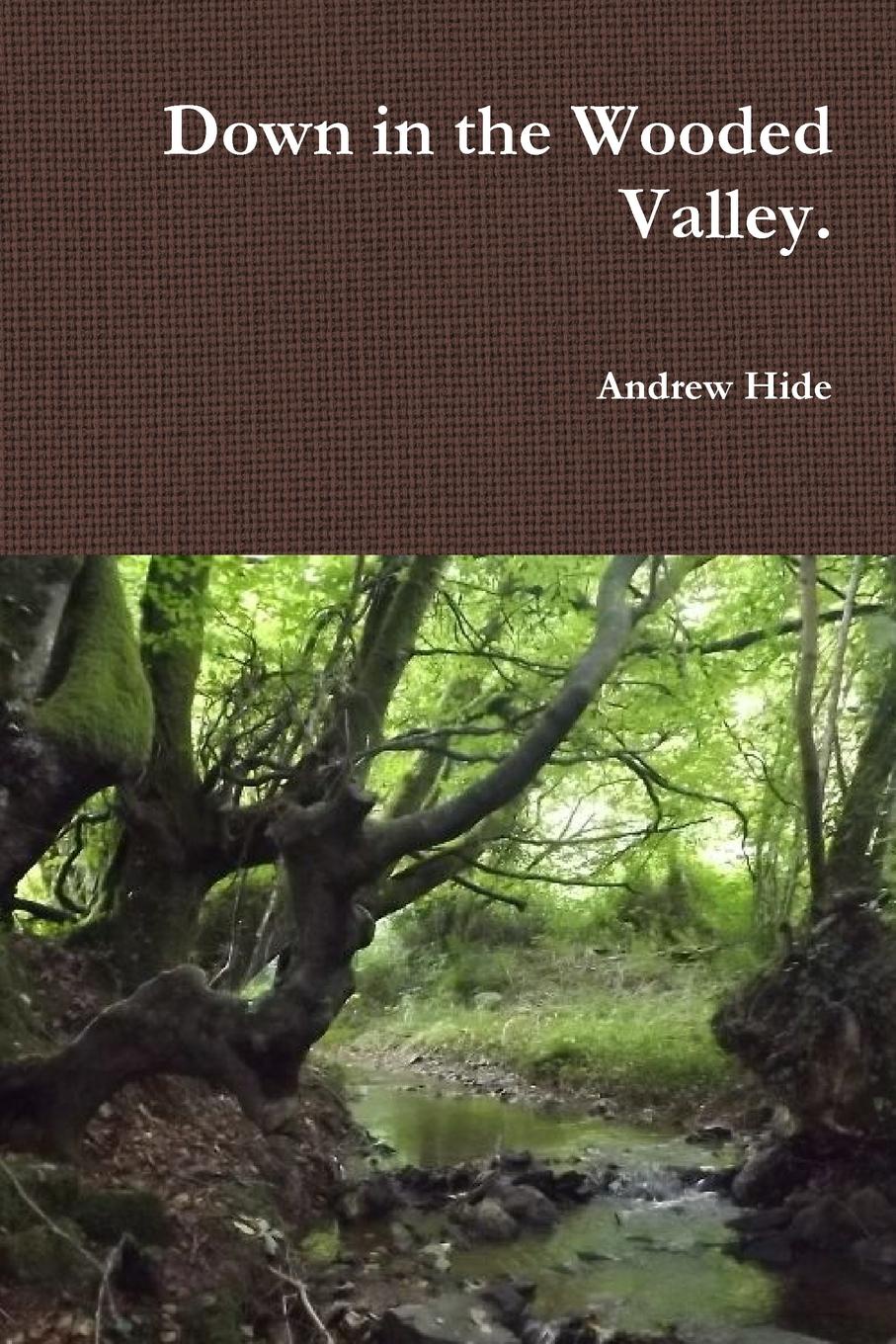 Hide down. Валлей вудс. hide and seek macmillan купить книгу.