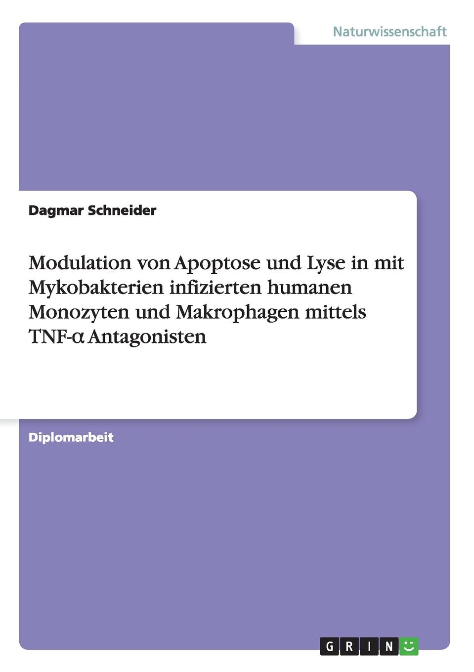 Modulation von Apoptose und Lyse in mit Mykobakterien infizierten humanen Monozyten und Makrophagen mittels TNF-. Antagonisten