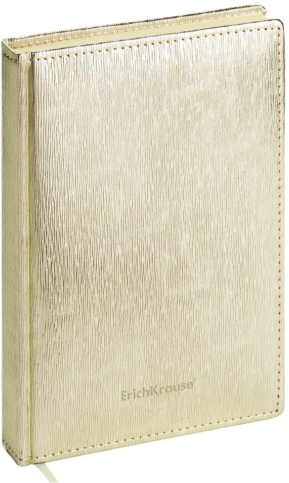 Ежедневник ErichKrause Eclisse, недатированный, A5, 47989, платина, 168 листов Ежедневник ErichKrause Eclisse, недатированный, A5, 47989, платина, 168 листов
