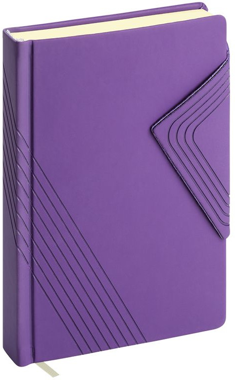 Ежедневник ErichKrause Soft Touch, недатированный, на магните, A6+, 47942, фиолетовый, 168 листов Ежедневник ErichKrause Soft Touch, недатированный, на магните, A6+, 47942, фиолетовый, 168 листов
