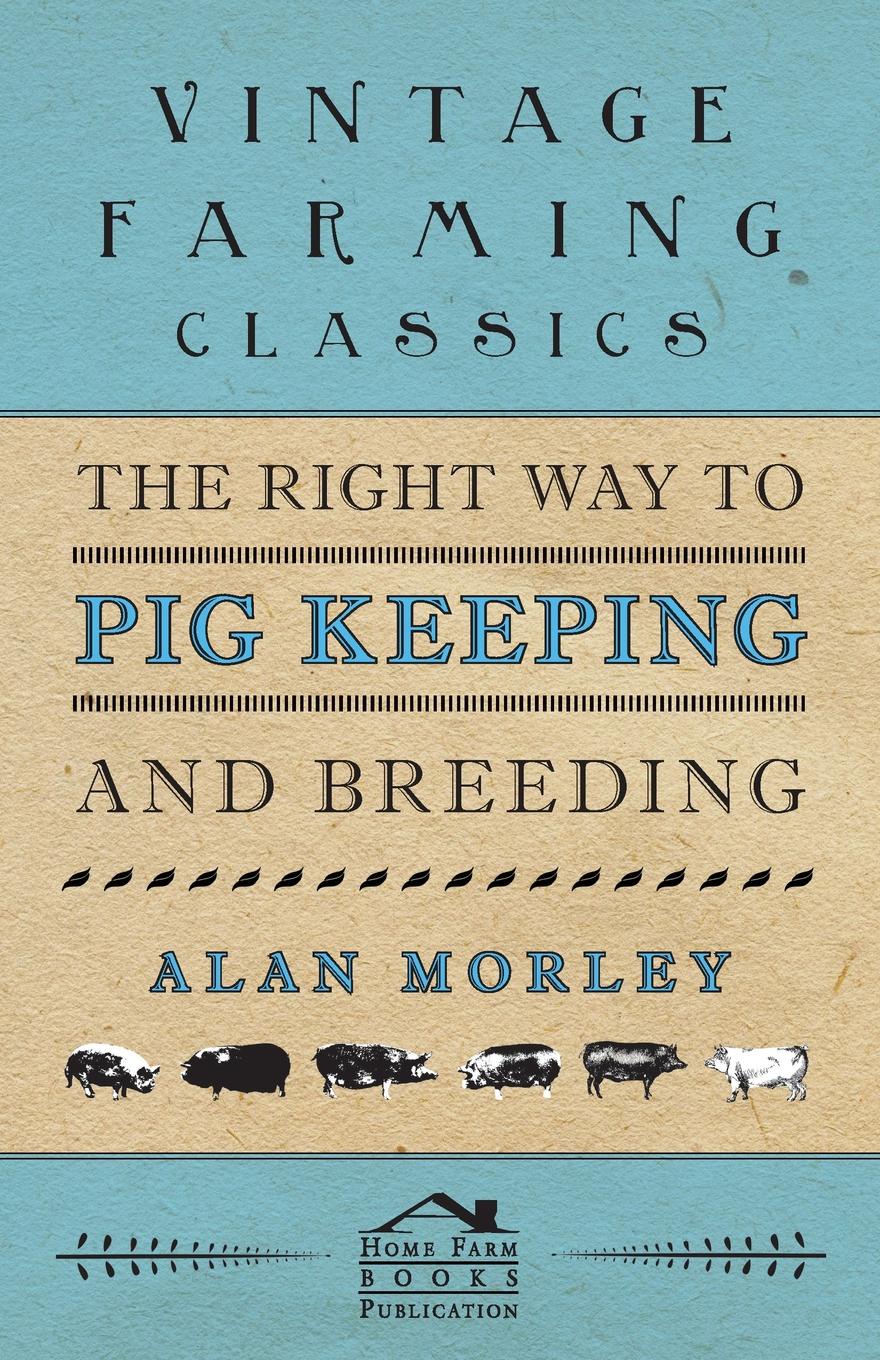 The Right Way to Pig Keeping and Breeding