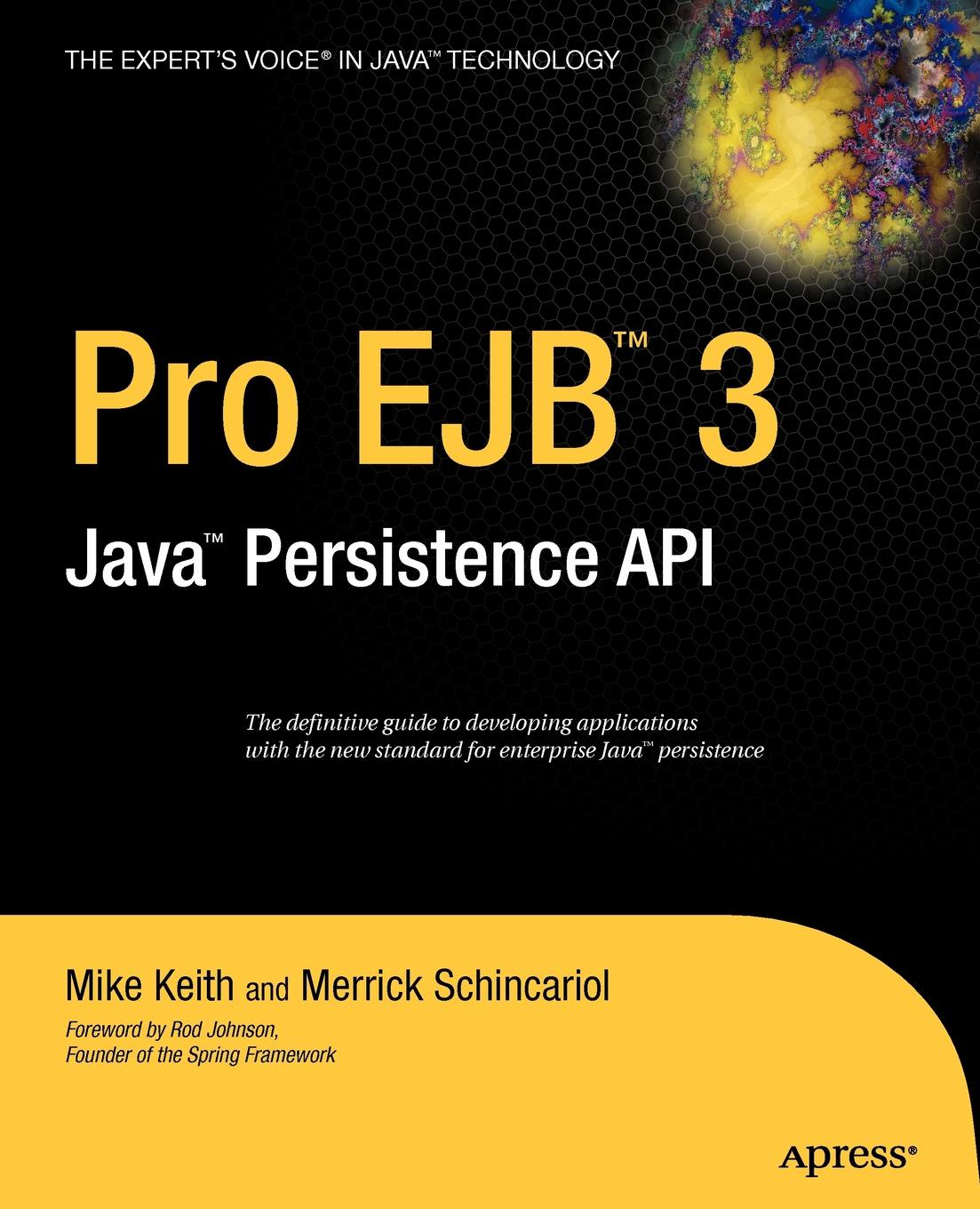 Java Persistence API.