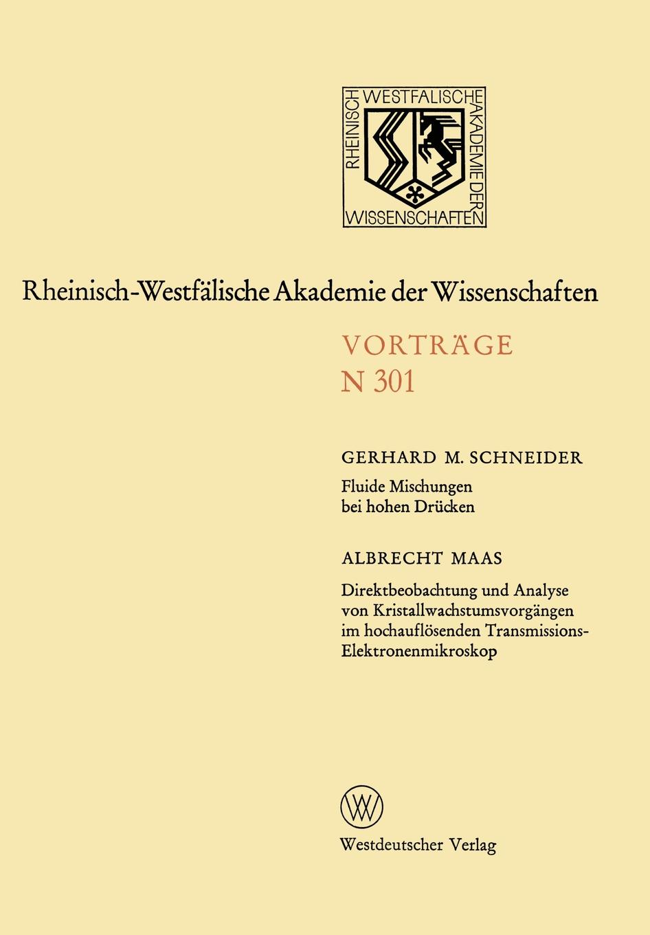 Fluide Mischungen bei hohen Drucken. Direktbeobachtung und Analyse von Kristallwachstumsvorgangen im hochauflosenden Transmissions-Elektronenmikroskop