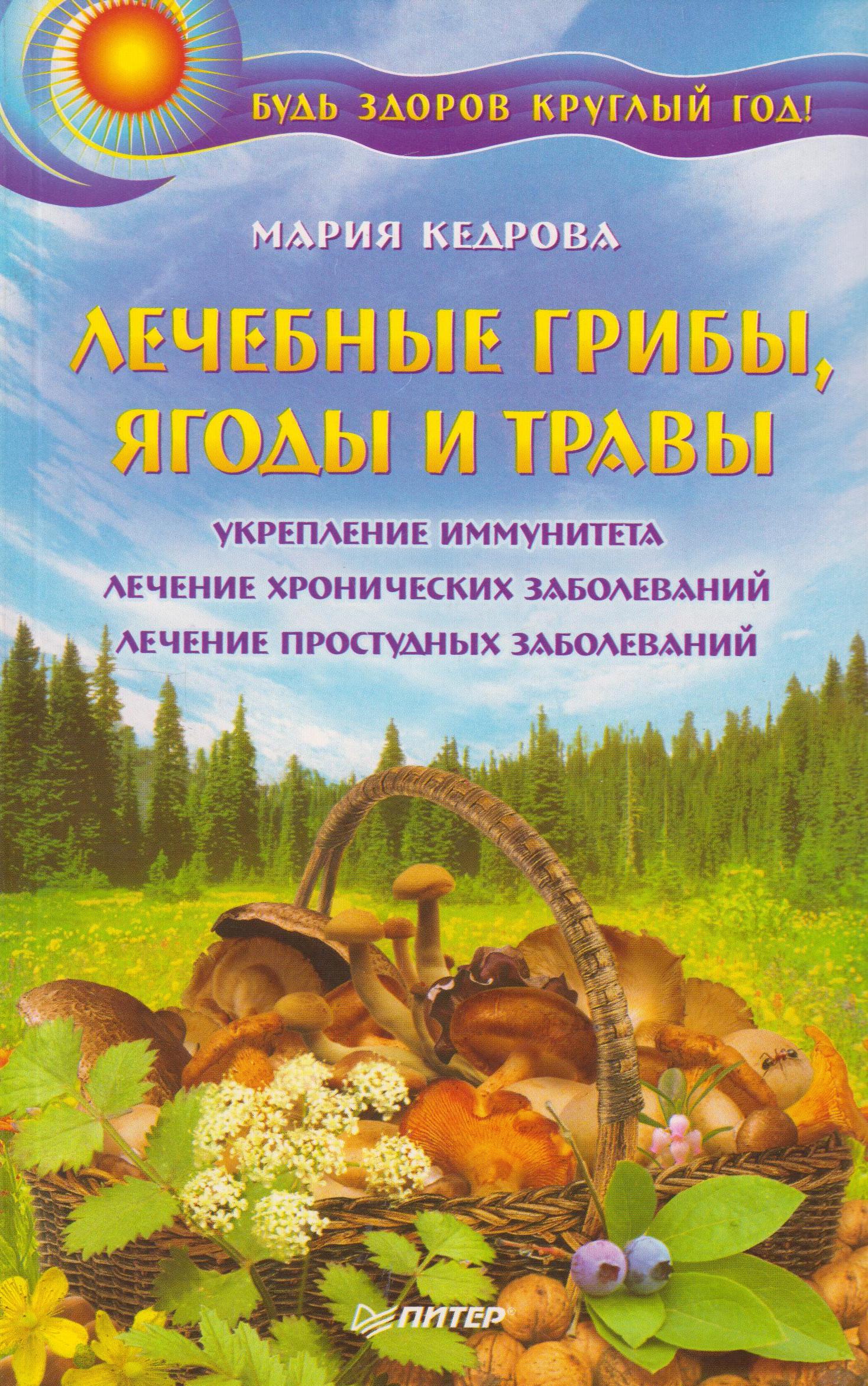 Лечение грибами. Книга Кедрова лечебные грибы, ягоды и травы. Лекарственные грибы. Лечебные грибы книга. Грибы целители.