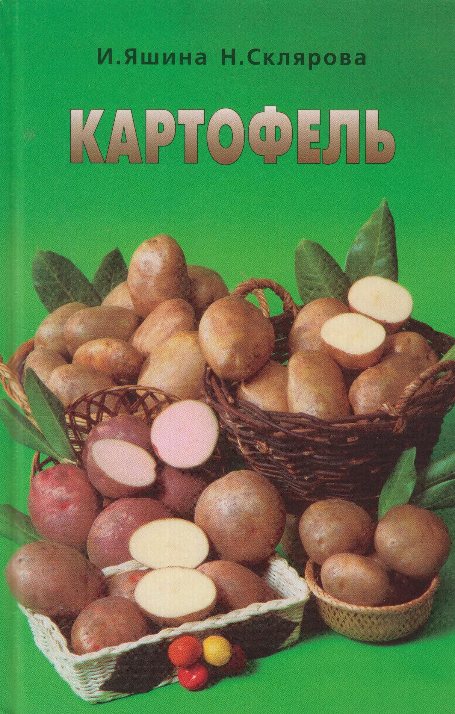 Картофель