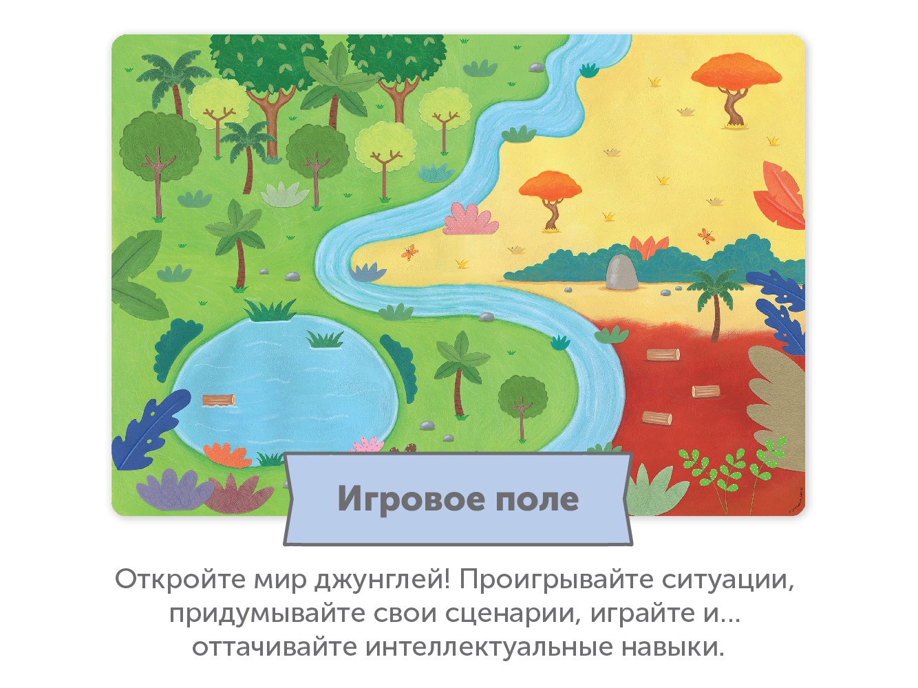 Карта джунглей мира