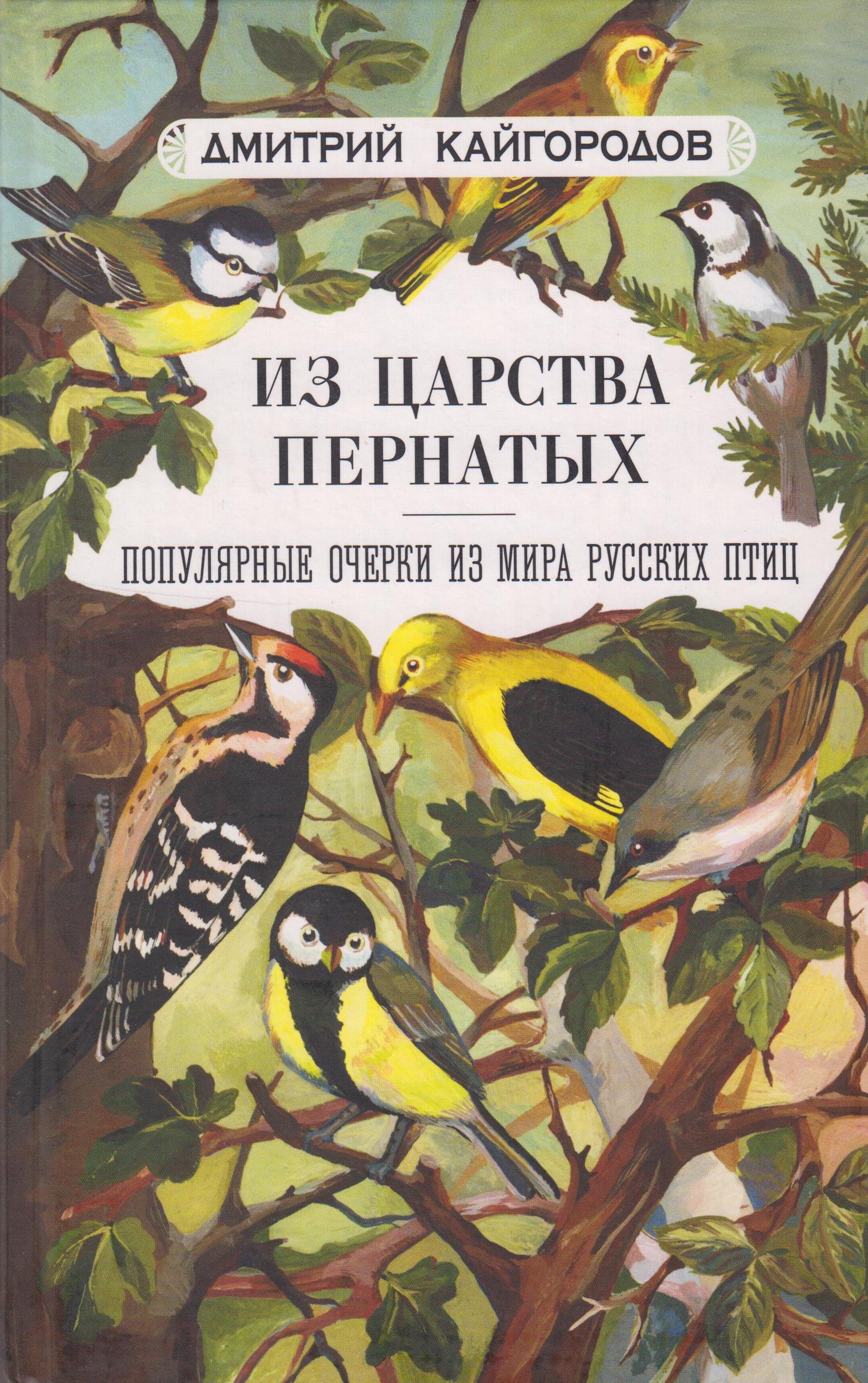 Автор птиц. Из царства пернатых Кайгородов книга. Дмитрий Кайгородов книги. Книги о птицах для детей. Художественные книги о птицах для детей.