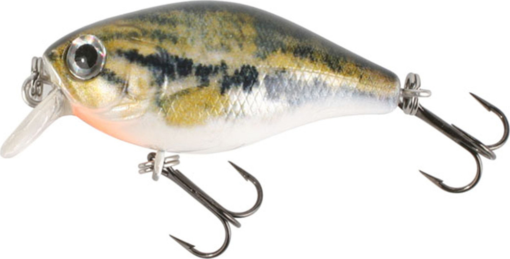 Anglers republic bug minnow. Mikado Воблер. Воблер Jaxon FL. Bold head.