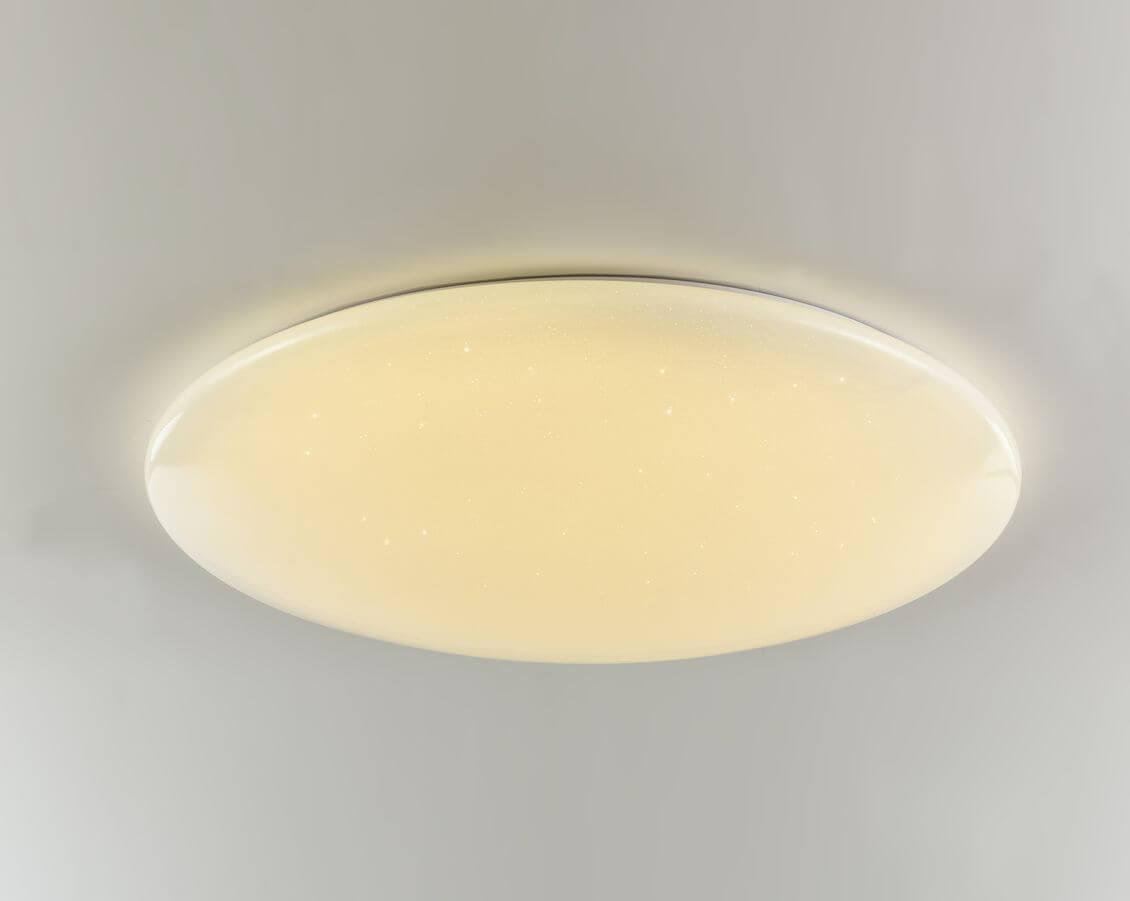 фото Потолочный светильник F-Promo 2319-10C, LED, 120 Вт