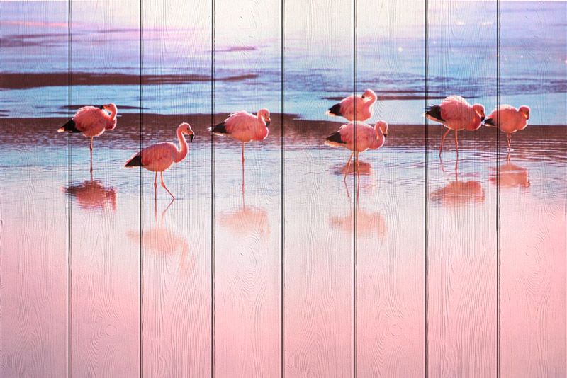 фото Фламинго на берегу реки 60 х 90 см Дом корлеоне