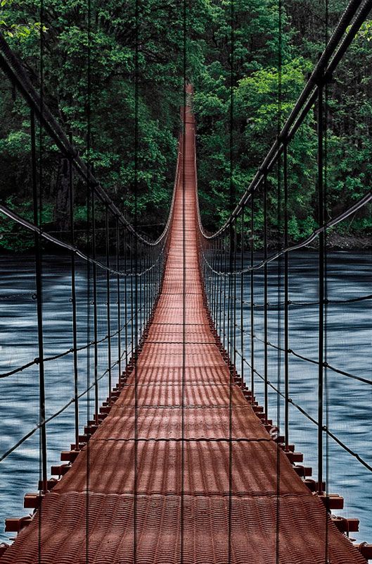 фото Мост в джунгли 60 х 90 см Дом корлеоне