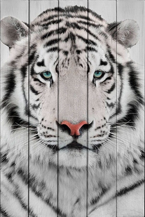 фото Белый тигр 80 х 120 см Дом корлеоне