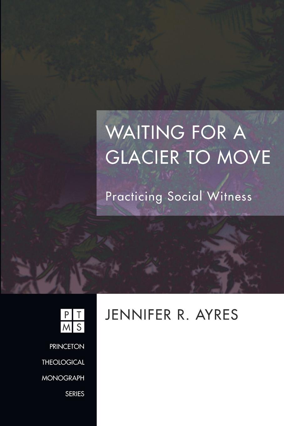 Waiting for a Glacier to Move. Practicing Social Witness