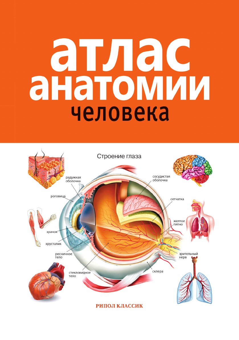 Атлас анатомии человека: Учебное пособие для медицинских учебных заведений