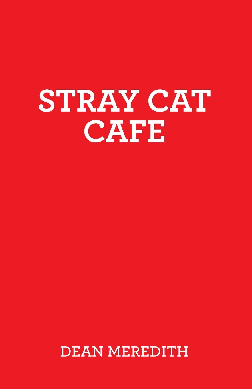 Stray Cat Cafe